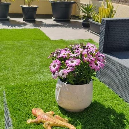 La Zenia Sabrina Apartment 5 Orihuela Esterno foto